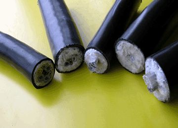 恒峰g22(国际)官网入口-天天有惊喜