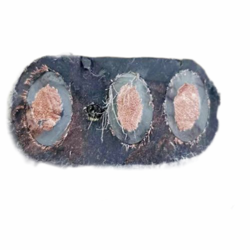 恒峰g22(国际)官网入口-天天有惊喜