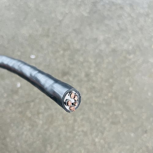 IMG_4877.jpg IMG_4877.jpg