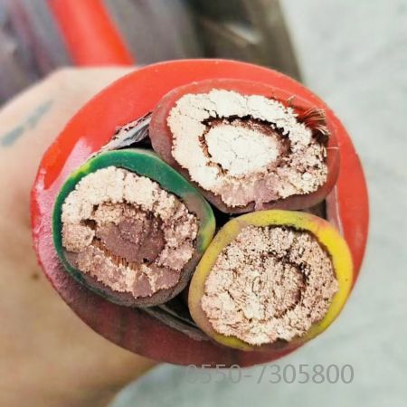 恒峰g22(国际)官网入口-天天有惊喜