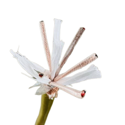 恒峰g22(国际)官网入口-天天有惊喜