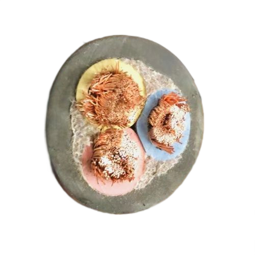 恒峰g22(国际)官网入口-天天有惊喜